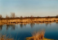 /album/fotogalerij-foto-s-voor-landschappen/veenfoto-4-jpg/